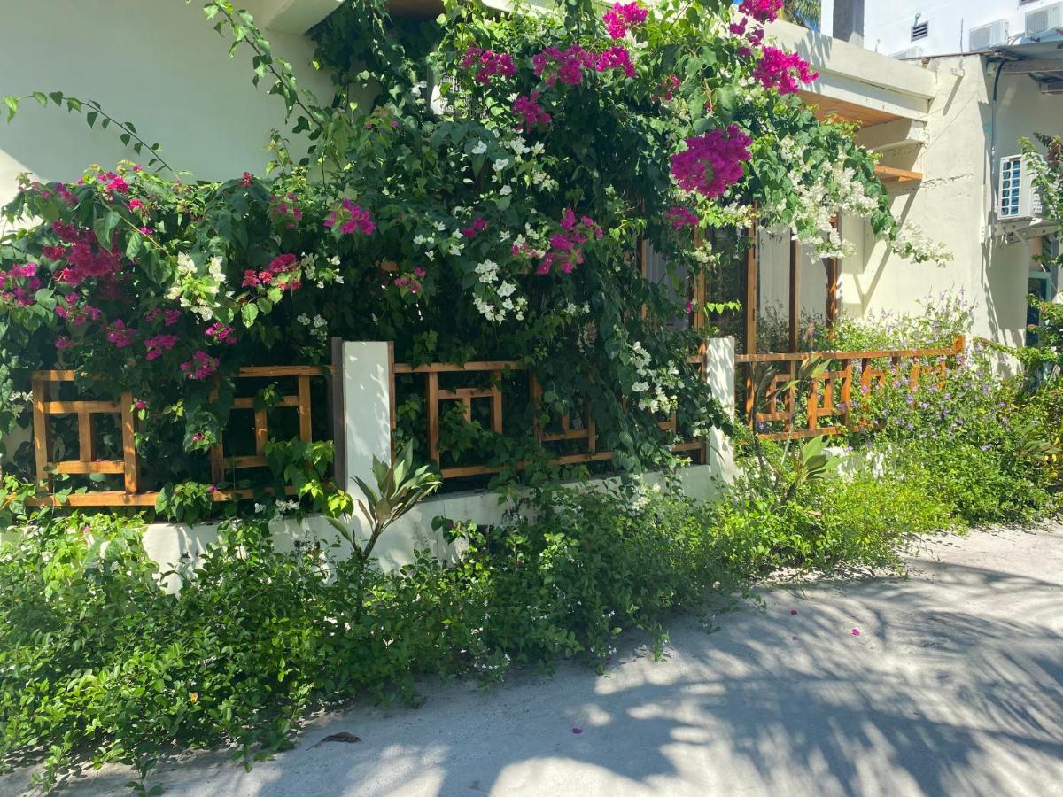 Bougainvillea Inn - Maldives Fulidhoo Exteriér fotografie